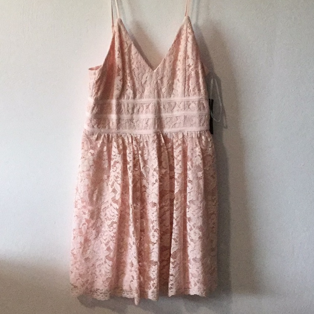Lulu's Mini V-neck Lace Pink Dress XL